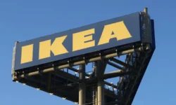 Площадки IKEA в Челябинской и Ленобласти получили Брусника и СЕВНИИГИМ ploshhadki v chelyabinskoj i lenoblasti poluchili brusnika i sevniigim-ul-rks-ru-0
