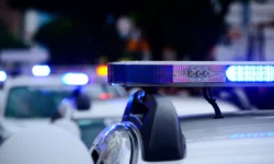 Полиция Петербурга раскрыла инцидент в ТЦ с мужчиной и охранником policziya peterburga raskryla inczident v tcz s muzhchinoj i ohrannikom-ul-rks-ru-0