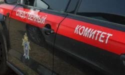 Позитивные новости и версии поиска о семье Усольцевых из Красноярского края pozitivnye novosti i versii poiska o seme usolczevyh iz krasnoyarskogo kraya-ul-rks-ru-0