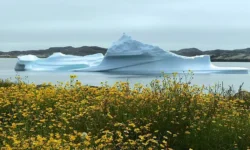 Премьер Марк Карни о позиции Канады в Арктике premer mark karni o poziczii kanady v arktike-ul-rks-ru-0