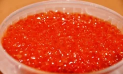 Россельхознадзор Приморья обнаружил кишечную палочку в красной икре rosselhoznadzor primorya obnaruzhil kishechnuyu palochku v krasnoj ikre-ul-rks-ru-0