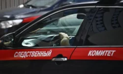 СК России продолжает поиски семьи Усольцевых в Красноярском крае sk rossii prodolzhaet poiski semi usolczevyh v krasnoyarskom krae-ul-rks-ru-0