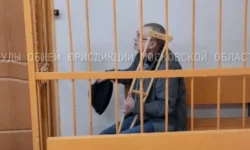 Воскресенский суд продлил арест жителю Подмосковья voskresenskij sud prodlil arest zhitelyu podmoskovya-ul-rks-ru-0