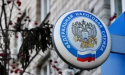 Юлиана Сорокина объяснила, когда ФНС проверит самозанятых yuliana sorokina obyasnila kogda fns proverit samozanyatyh-ul-rks-ru-0