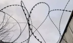 zdorove na kubani pod kontrolem anatoliya voronovskogo-ul-rks-ru-0