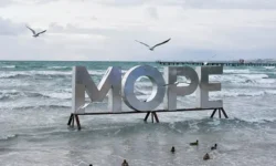 Анна Попова: Лето в Анапе ждёт нас, если пляжи готовы anna popova leto v anape zhdyot nas esli plyazhi gotovy-ul-rks-ru-0