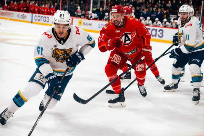 Автомобилист стремится в плей-офф КХЛ после побед над Металлургом, Сочи-0