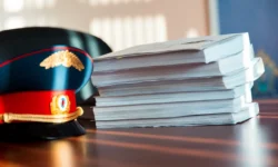 Бастрыкин и Трубчик контролируют ситуацию во Владивостоке bastrykin i trubchik kontroliruyut situacziyu vo vladivostoke-ul-rks-ru-0