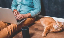 ФСБ раскрыла дело о госизмене, фигурант передавал данные ГУР Украины fsb raskryla delo o gosizmene figurant peredaval dannye gur ukrainy-ul-rks-ru-0