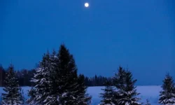 Глава Чувашии Николаев в Telegram рассказал об ударе ВСУ по Чебоксарам glava chuvashii nikolaev v rasskazal ob udare vsu po cheboksaram-ul-rks-ru-0