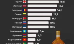 Грузия, Россия и Украина пьют больше Франции и Индии gruziya rossiya i ukraina pyut bolshe franczii i indii-ul-rks-ru-0