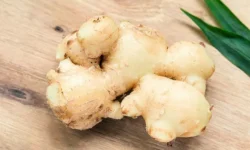 Имбирь и его влияние на синапсы, нейровоспаление и аутизм у мышей imbir i ego vliyanie na sinapsy nejrovospalenie i autizm u myshej-ul-rks-ru-0