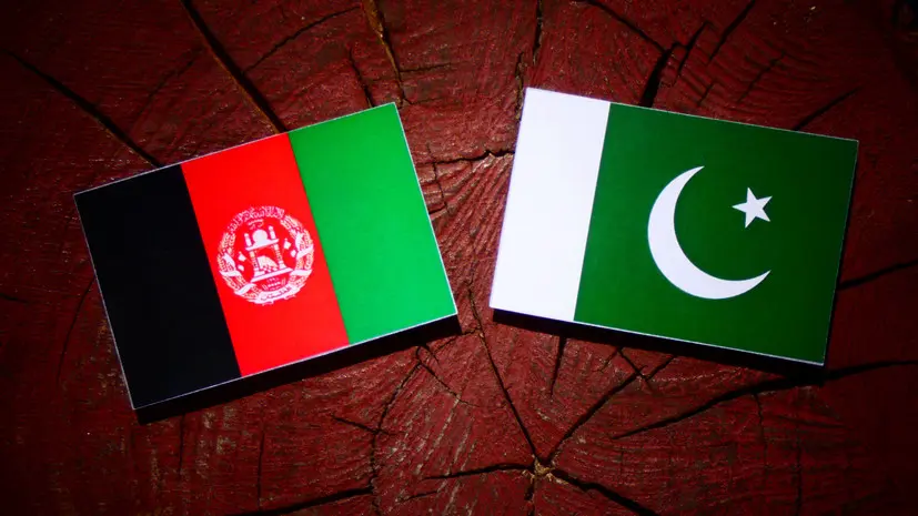 Военэксперт Кнутов сравнил военный потенциал Афганистана и Пакистана