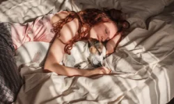 Ученые Гриффита об оптимальной температуре для сна – эксперт О'Коннор uchenye griffita ob optimalnoj temperature dlya sna ekspert okonnor-ul-rks-ru-0