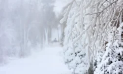 В Приморье под руководством Олега Кожемяко готовятся к снегопадам v primore pod rukovodstvom olega kozhemyako gotovyatsya k snegopadam-ul-rks-ru-0