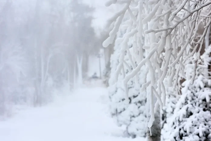 v primore pod rukovodstvom olega kozhemyako gotovyatsya k snegopadam-ul-rks-ru-0
