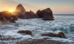 biostancziya aniva i pravitelstvo sahalinskoj oblasti prodvigayut nauku-ul-rks-ru-0