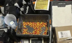 ГУ МВД России пресекло оборот 30 кг прегабалина gu mvd rossii preseklo oborot 30 kg pregabalina-ul-rks-ru-0