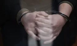 Оперативники ГУ МВД раскрыли нелегальное выращивание конопли в Чехове operativniki gu mvd raskryli nelegalnoe vyrashhivanie konopli v chehove-ul-rks-ru-0