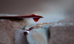 Перуанец ранен ножом в продуктовом магазине на Нагорной улице в Москве peruanecz ranen nozhom v produktovom magazine na nagornoj ulicze v moskve-ul-rks-ru-0