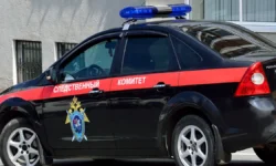 СКР в Москве уточняет детали инцидента на Ходынском бульваре skr v moskve utochnyaet detali inczidenta na hodynskom bulvare-ul-rks-ru-0