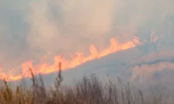 speczialisty primorskoj aviabazy boryutsya s pozharami v hasanskom okruge-ul-rks-ru-0