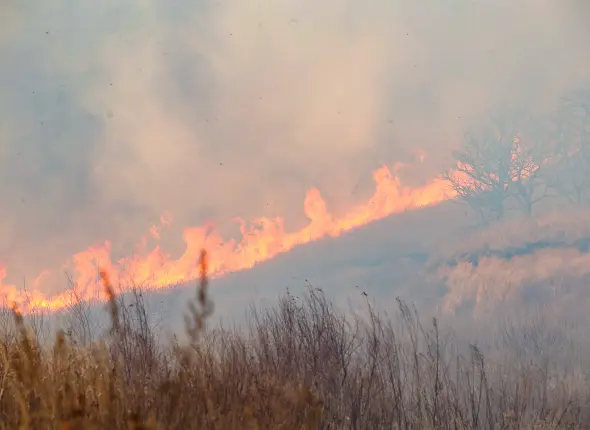 Фото: primamedia.ru