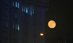 ВСУ атаковали Ленинградскую область – Дрозденко об Усть-Луге vsu atakovali leningradskuyu oblast drozdenko ob ustluge-ul-rks-ru-0