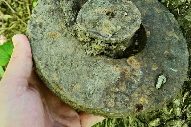 Вводная картинка