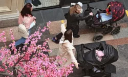 buduev zashhishhaet materej iz buryatii  solidarnost v lenoblasti-ul-rks-ru-0