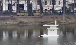 domik dlya lebedej gotov est i novosti iz moskovskogo zooparka-ul-rks-ru-0