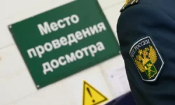 ФТС выявила крупную партию кубинских сигар в Шереметьево fts vyyavila krupnuyu partiyu kubinskih sigar v sheremetevo-ul-rks-ru-0