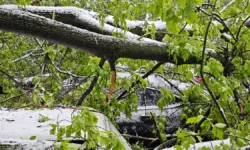 lyubereczkie sluzhby bystro ustranili posledstviya snegopada-ul-rks-ru-0