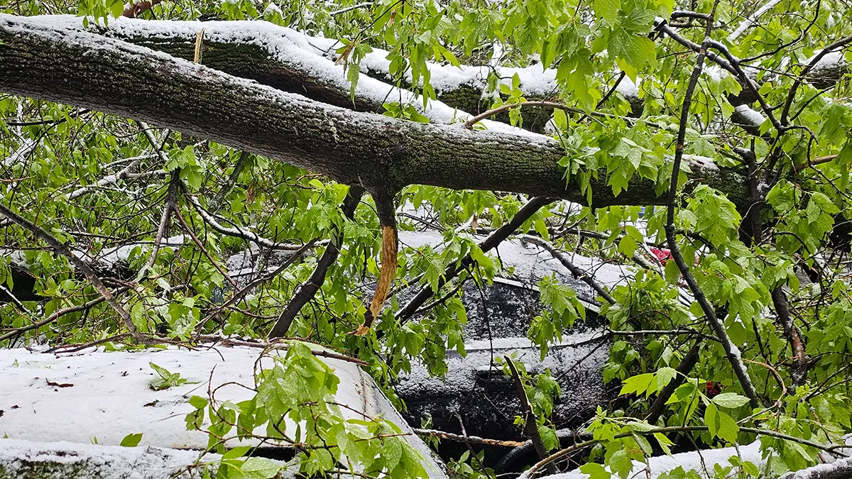 Специалисты устранили последствия снегопада в Люберцах
