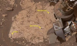 obnaruzhil drevnyuyu organiku na marse-ul-rks-ru-0