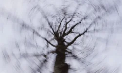 semya usolczevyh versii railko i uchastie daniila batalova-ul-rks-ru-0