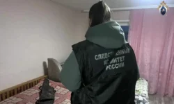СК РФ расследует происшествия с оружием у молодежи в Арзамасе sk rf rassleduet proisshestviya s oruzhiem u molodezhi v arzamase-ul-rks-ru-0
