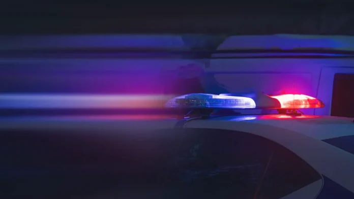 v tuapse volontery i fond ratiborecz vmeste s policziej spasayut devochku-ul-rks-ru-0