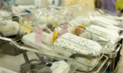 vpervye v rossii v peterburge rodilis odnoyajczevye devochkiblizneczy-ul-rks-ru-0