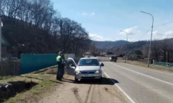 gai primorya vyyavila narusheniya pdd u uchebnyh avtomobilej v nahodke-ul-rks-ru-0