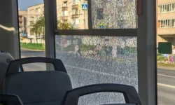 huligan s pnevmopistoletom zaderzhan na vitebskom prospekte-ul-rks-ru-0