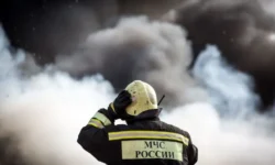mchs rossii zavershilo likvidacziyu pozharov v vykse i vyborge-ul-rks-ru-0