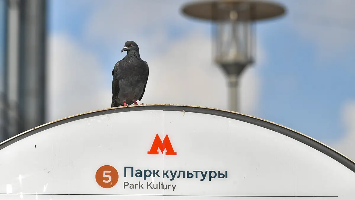 Станцию «Парк культуры» Кольцевой линии закроют для входа по будням в часы пик
