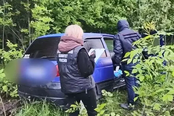 Вводная картинка