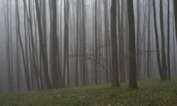 Пилоты БПЛА ЛизаАлерт ищут семью Усольцевых в Кутурчинском Белогорье! piloty bpla lizaalert ishhut semyu usolczevyh v kuturchinskom belogore-ul-rks-ru-0