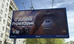 prokuratura i rkn izuchayut bannery zooparka novosibirska ko dnyu pobedy-ul-rks-ru-0