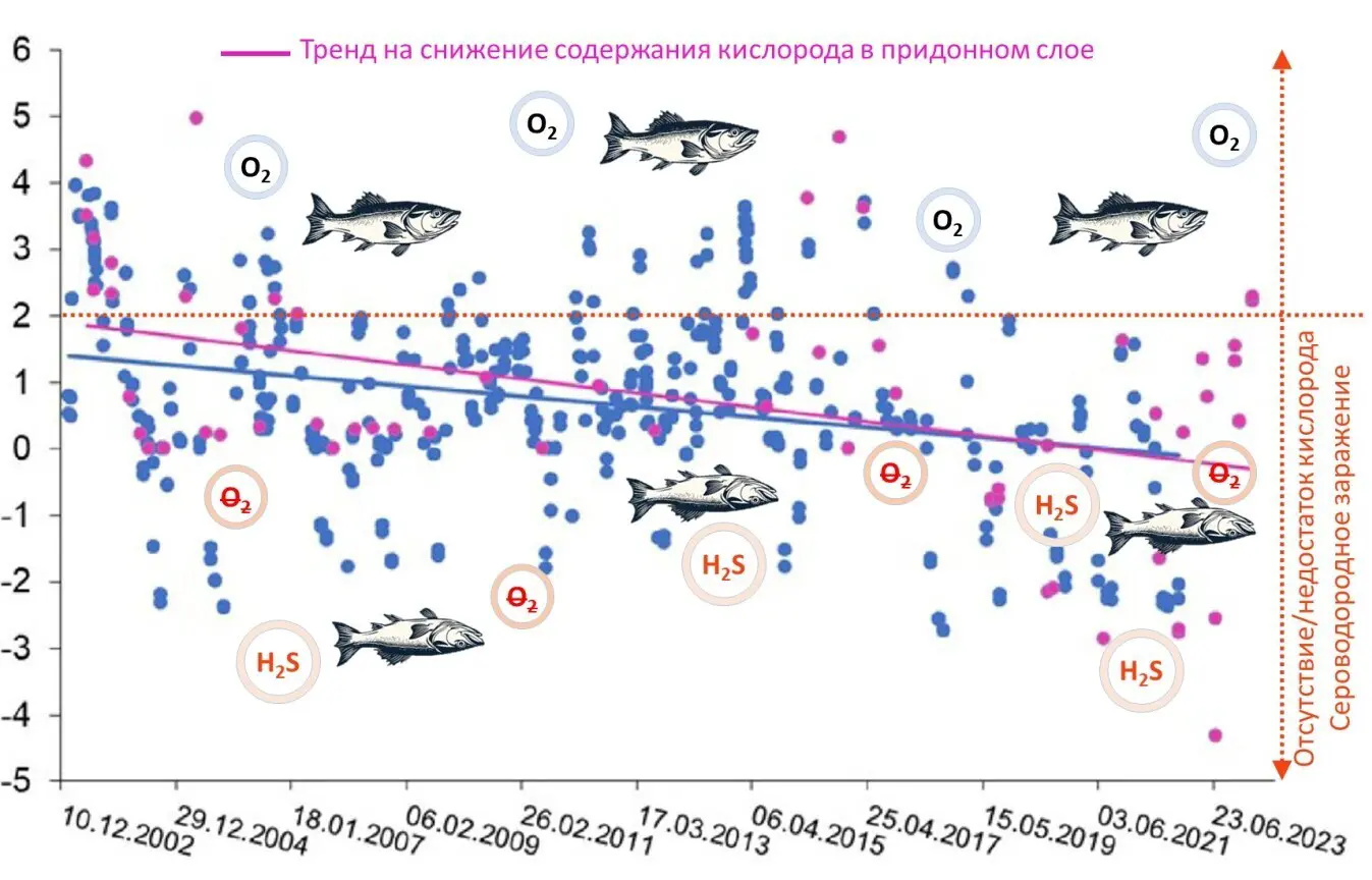 indicator.ru
