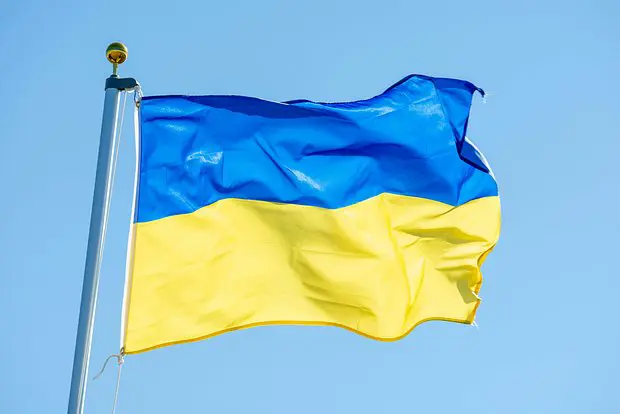 Вводная картинка