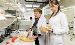 УрФУ и Елена Ковалёва создали сыры с астаксантином urfu i elena kovalyova sozdali syry s astaksantinom-ul-rks-ru-0