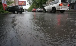 vladivostok spravlyaetsya s osadkami silami sgt-ul-rks-ru-0